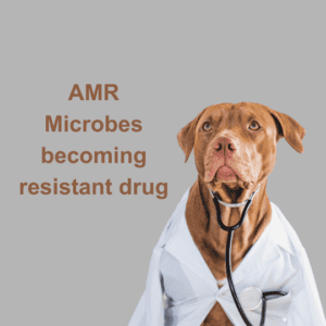 AMR - Mircobes Become resistant drug