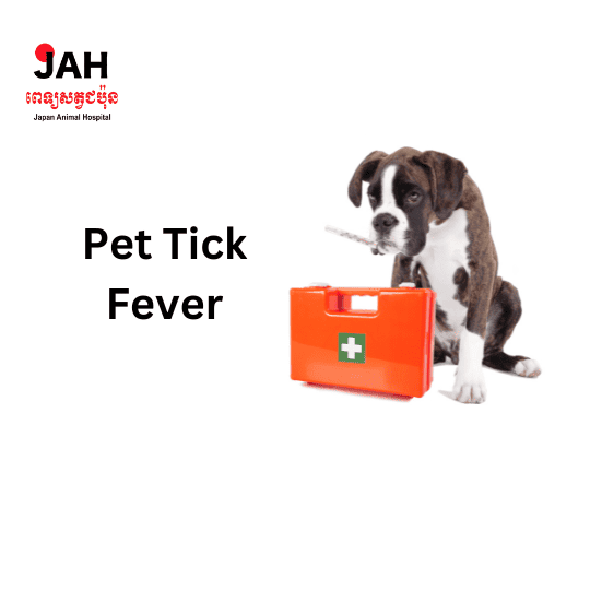 Dog Tick fever - Japan animal hospital