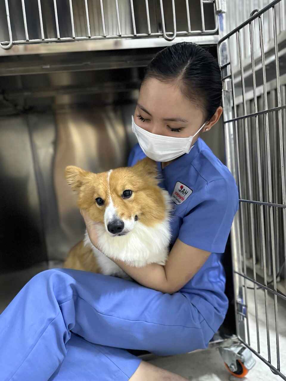Japan animal hospital - pet stay in hospital for care